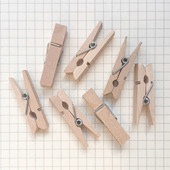 Small Wooden Pegs