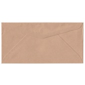 Brown Kraft envelope DL