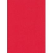 A4 Kaskad Rosella Red 225gsm