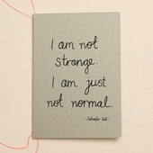 Me & Amber Dali Notebook